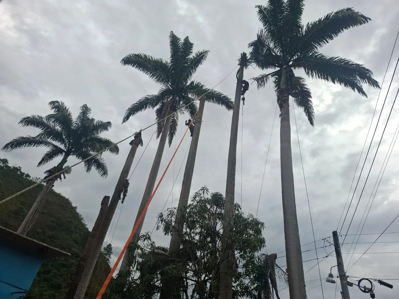 Personal con +15 Años