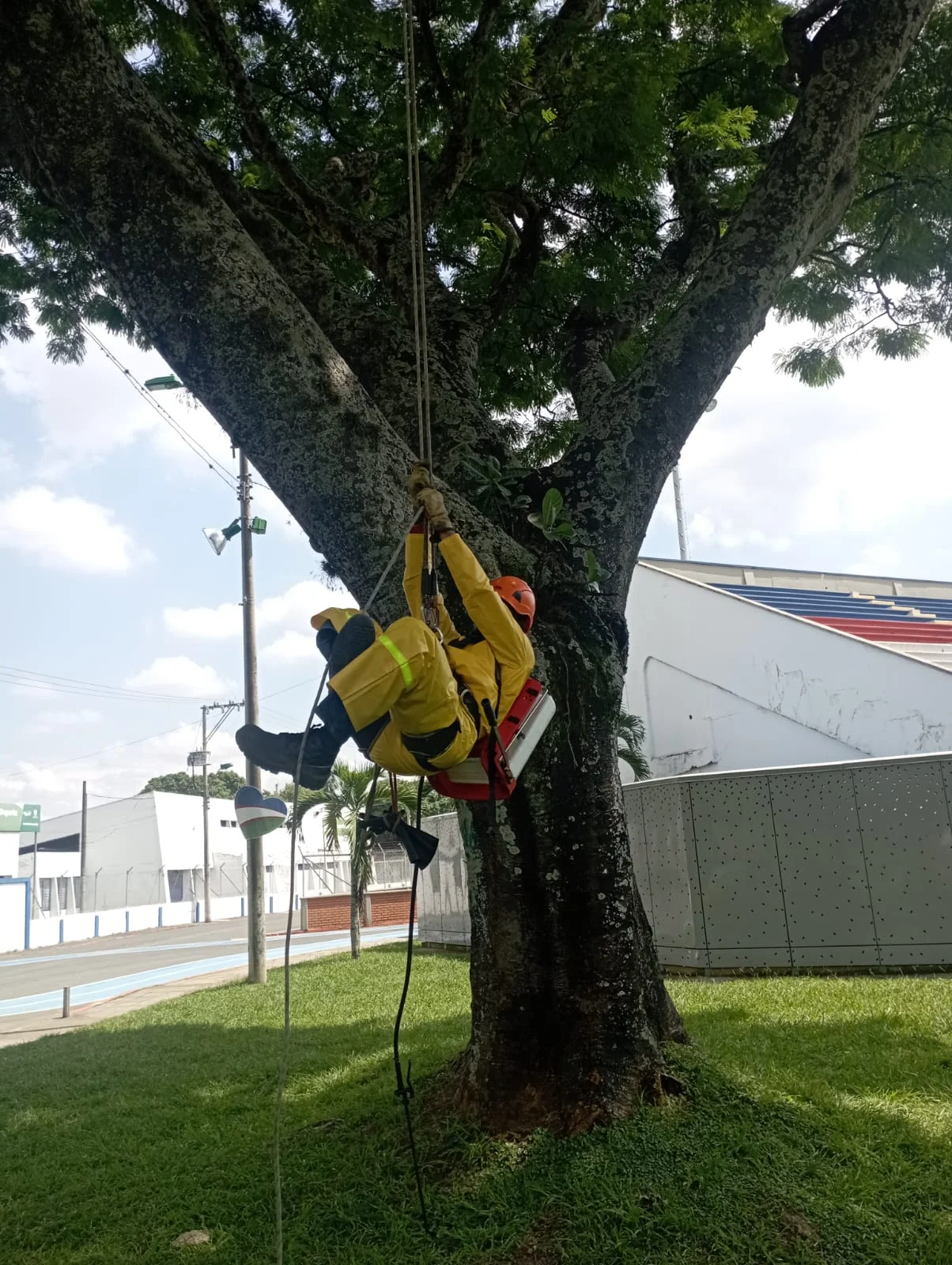 Jardinería profesional